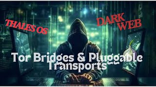 25How to use Tails OS for Dark Web Access with Tor Bridges amp Pluggable Transports [upl. by Akela657]