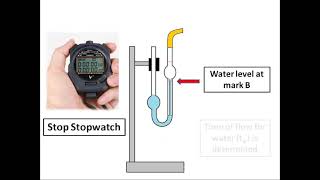 Viscosity coefficient measurement with Ostwalds viscometer  Animated Practical Instruction [upl. by Aivuy]