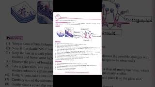 jeevandeep general science practical and project book 8th class lesson 2study shortvideo [upl. by Lsiel995]