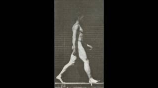 Muybridge Walk Cycle 720p [upl. by Darcia780]