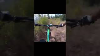 Wheel gopro mtb mtblife smith spokes for sale [upl. by Nairod]