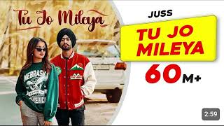 Tu Jo Mileya Juss x MixSingh  New Punjabi Song 2024  Latest Punjabi Songs 2024 [upl. by Josselyn226]