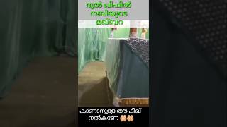 ദുൽ ഖിഫിൽ നബിയുടെ മഖ്‌ബറ  Prophet dhul  kifl as maqam islam maqbara maqam views trending [upl. by Pavkovic352]