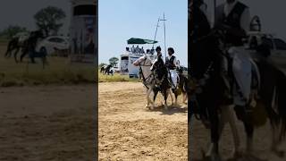 Neza bazi horses nezabaziinpakistan horses ghora ghoda tentpegging sports games shorts [upl. by Ainavi]