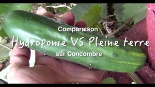 Comparaison entre culture hydroponique et pleine terre [upl. by Perretta147]