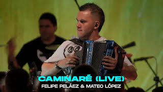 Caminaré Live  Felipe Peláez amp Mateo López [upl. by Reiners]