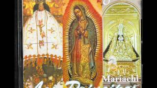 Mi virgen bellaamor eterno música de juan gabriel Mariachi los principesOAXACA [upl. by Anaes438]