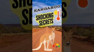 quotAmazing Facts About Kangaroosquotnature [upl. by Enyar]