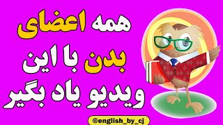 همه اعضای بدن رو با این ویدیو یاد بگیر زبان آموزشزبان آموزشزبان [upl. by Stauder]