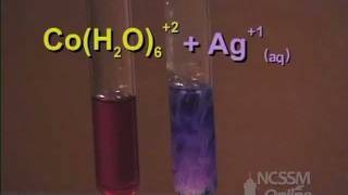 Cobalt Complex Ion Equilibrium  LeChateliers Principle Lab Part 3 [upl. by Paynter]