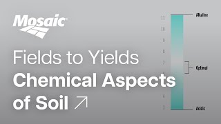 Fields to Yields  Chemical Aspects of Soil [upl. by Linnette]