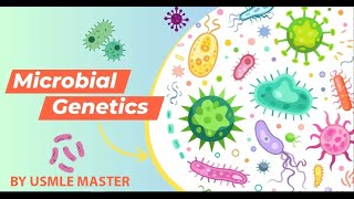 شرح ال Basic Bacteriology 🧫 amp Bacterial Genetics 🧬 USMLE [upl. by Janaya468]