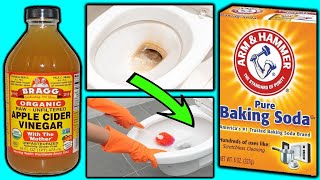 5 Minute Cleaning DIY Toilet Bowl Hack  Using Vinegar amp Baking Soda [upl. by Ahsikam844]