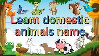 Domestic animals name in English  Animals video for Kids [upl. by Esorlatsyrc]