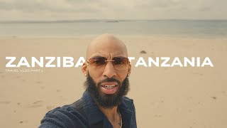 DWHOS Africa Travel Vlog To Zanzibar African Safari and more [upl. by Devonne]