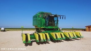 The Machinery Behind Cotton Harvesting [upl. by Aleciram]