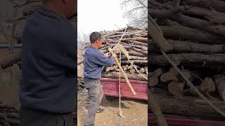 Carbon wood loading tether fastening method Good tools and machinery can increase work efficiency [upl. by Eniortna430]