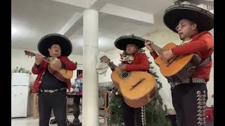 TrimariachiTrio Ranchero De Javier Martagón 7841367243 Papantla [upl. by Ahusoj]