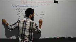 Biochimie Métabolisme des glucides Séance 5 S4Svi [upl. by Hughie]