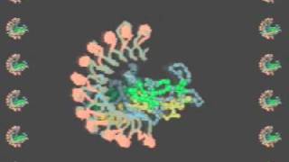 Hugging Tightly Human RNase Inhibitor [upl. by Viole]