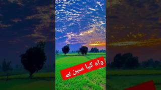 Beautiful Seen 💖 newsong punjabisong punjabi song youtubeshorts bollywood music love [upl. by Asehr]