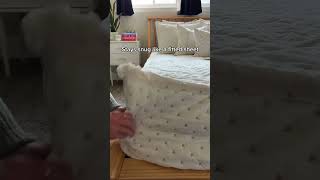 This Will Make Your Bed Making So Much Easier Beddys Zipper Bedding shorts beddys [upl. by Athalla]