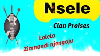 Izithakazelo zakwa Nsele Clan Praises  Lalela ngizihaya kamnandi [upl. by Hannavas10]