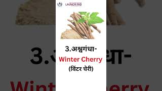 Discover आयुर्वेदिक Plants in English  Herbs के English Names with Pictures  Learn Vocabs shorts [upl. by Omrellig]