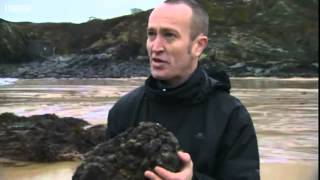 Beach find could be whale ambergris [upl. by Frissell]