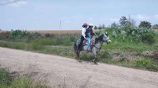 Cabalgata san Martín [upl. by Torbart]