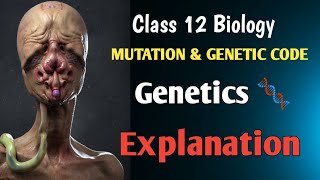 MUTATION 👉🏻 GENETICS CLASS 12TH BIOLOGY education boards biology neet [upl. by Eelta]