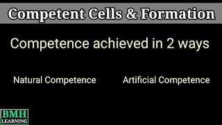 Competent Cells  Preparation Of Competent Cells  Competent Cell Transformation [upl. by Dollar]