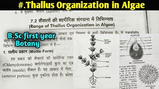 Thallus Organization in Algae  BSc first year Botany first semester [upl. by Kehoe719]