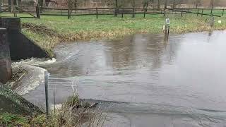 20231227 Haaksbergen Hoog water [upl. by Gildus]