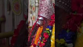 Tarapith tarama darshan darshan tarapithtemple tarapithmandir tarapith tarapithhotel [upl. by Standley]