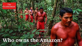 How the Amazon became a Wild West of landgrabbing [upl. by Ahsimed]