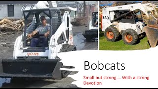 Bobcat  small and powerful machines in action and with an allegory [upl. by Dermott391]