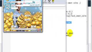 coins smeet hack 28052013 [upl. by Atisor7]