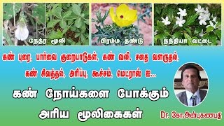 கண் நோய்களை போக்கும் அரிய மூலிகைகள்  Using herbs to treat Eye problems in Tamil Siddha Medicine [upl. by Kathrine206]