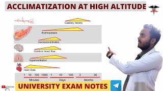 Acclimatization  Changes at High Altitude  Respiratory System physiology [upl. by Ennovaj]