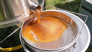 Harvesting BUCKETS of Honey 95 Pounds [upl. by Artinek]