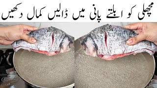 Yummy And Delicious Fish Recipe l Easy And Quick Recipe l Winter Special Fish Recipe [upl. by Philomena]