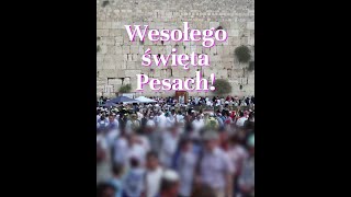 Pesach  Zwyczaje na żydowskie Święto Wiosny [upl. by Einhpad]