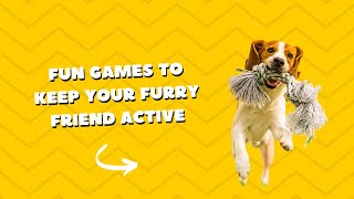 Fun games to keep your furry friend active dog tips [upl. by Arch]