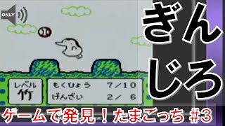 ③Game Vlog 「ゲームで発見！！たまごっち（ゲームボーイ）」 TAMAGOTCHI  Gameboy [upl. by Obau475]