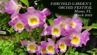 Fairchild Tropical Botanical Garden Orchid Show  Miami FL March 2022 Феачайлд Шоу Орхидей Маями [upl. by Beekman]