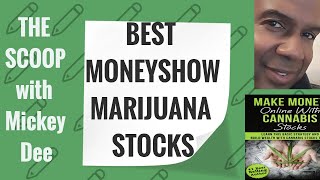 BEST MONEYSHOW MARIJUANA STOCKS 2019  THE SCOOP Mickey Dee [upl. by Lsil]