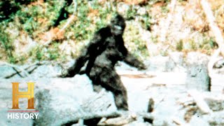 Hunting Bigfoot Uncovering the Elusive Truth S4  Historys Greatest Mysteries [upl. by Morris]