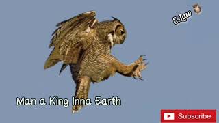 Masicka Man a King Inna Earth lyric video [upl. by Annahahs]