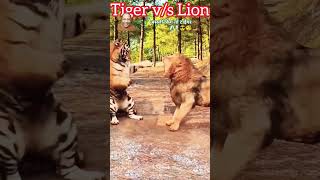 Title Clash Who is King Tiger vs Lion tiger lion trending [upl. by Agnes]